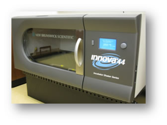 Incubator I 44